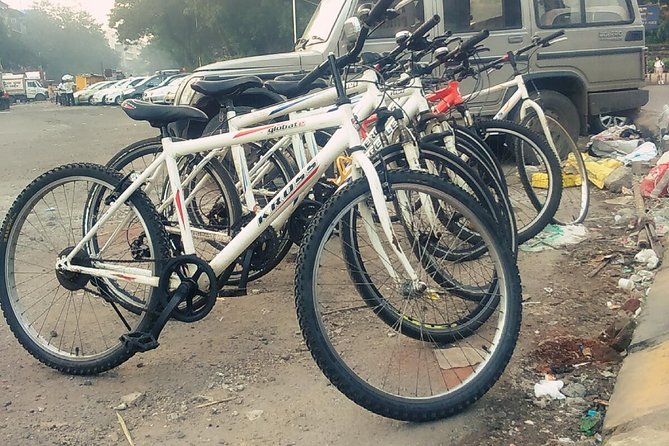 Best Bicycle Tour In Mumbai - Prince of Wales Museum Area: Vastu Sangrahalaya and Rajabai’s Clock