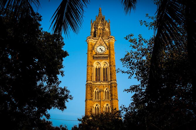 Bombay Fort Heritage Walking Tour - Price and value: $29.21 for 3 hours with a local guide