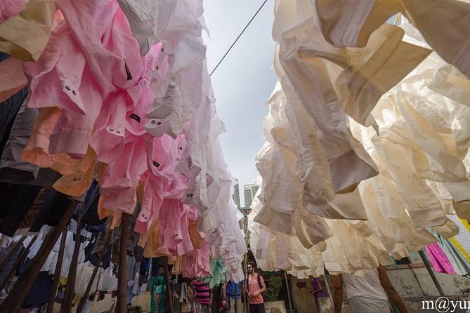 Dabbawala, Dhobi Ghat & Dharavi slum Tour with Local Train Ride - The Local Train Ride: The Shortcut to Feeling Like You’re There