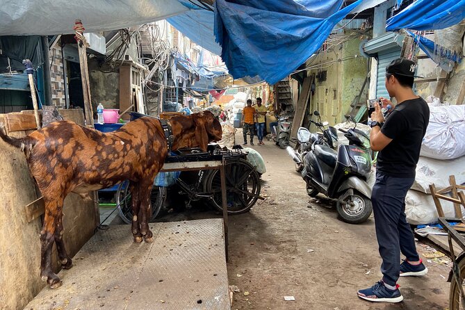 Dharavi Slum Tour in Mumbai with Combo Packages & Transfers - Combo add-ons: turning Dharavi into a bigger Mumbai day