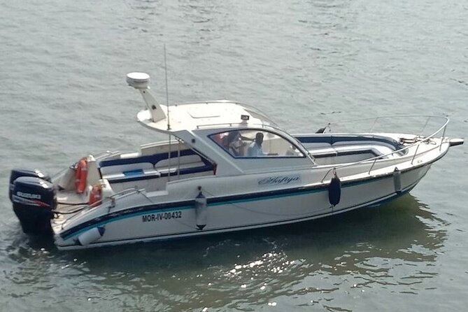 Elephanta Caves Tour by Private Speed Boat - Weather and Practical Planning: What Can Affect Your Day