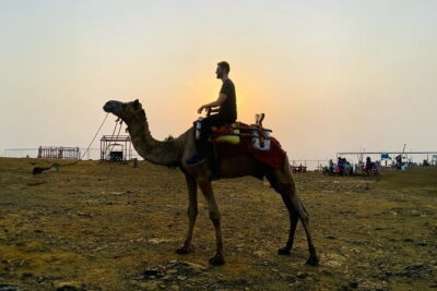 Hill-station & Heritage: Lonavala & Karla Caves Tour from Mumbai - Pickup to sunset: the real rhythm of the 10–12 hours