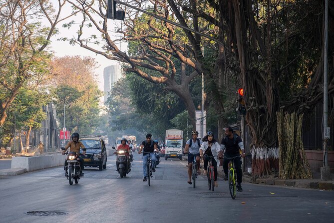 Mumbai Bicycle Tour - Mumbadevi Temple: the city’s name, explained on the ground
