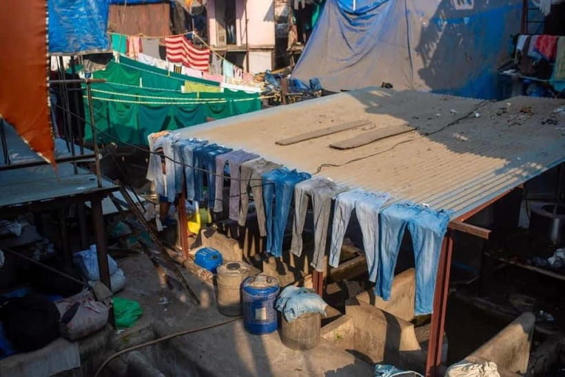 Mumbai Dharavi Slum, Dhobi Ghat & Dabbawala Lunchbox Tour - Who this tour suits best (and who should skip)