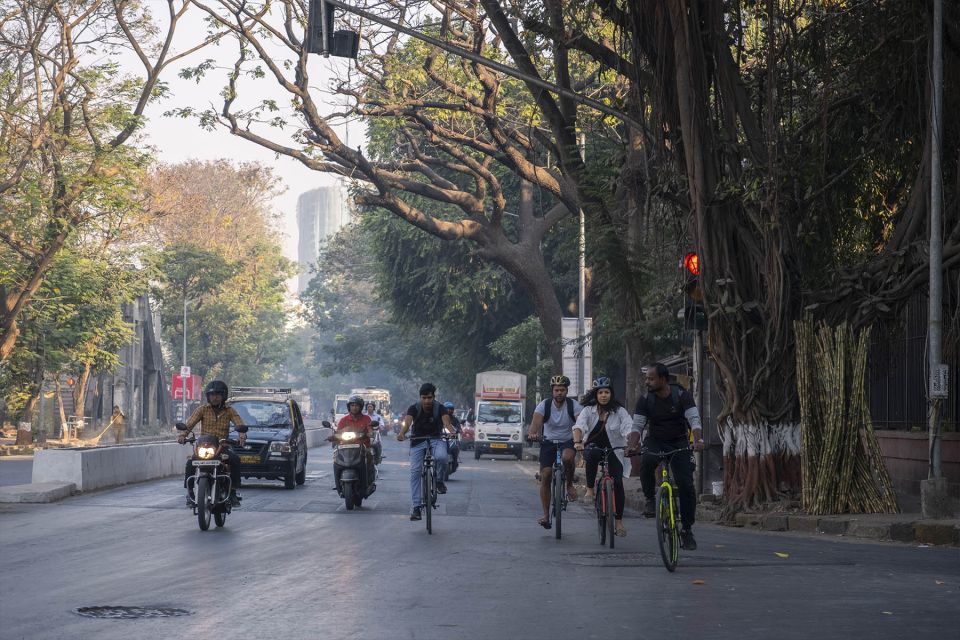 Mumbai: Early Morning Bicycle Tour - Bombay Panjrapole cow sanctuary: care for 350+ cows