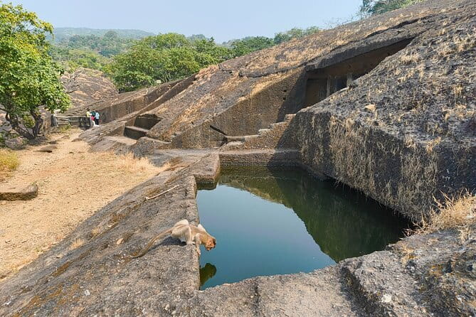 Mumbai Kanheri Caves & Golden Pagoda – A Buddhist Settlement - Timing and pacing: how 4.5 hours stays manageable