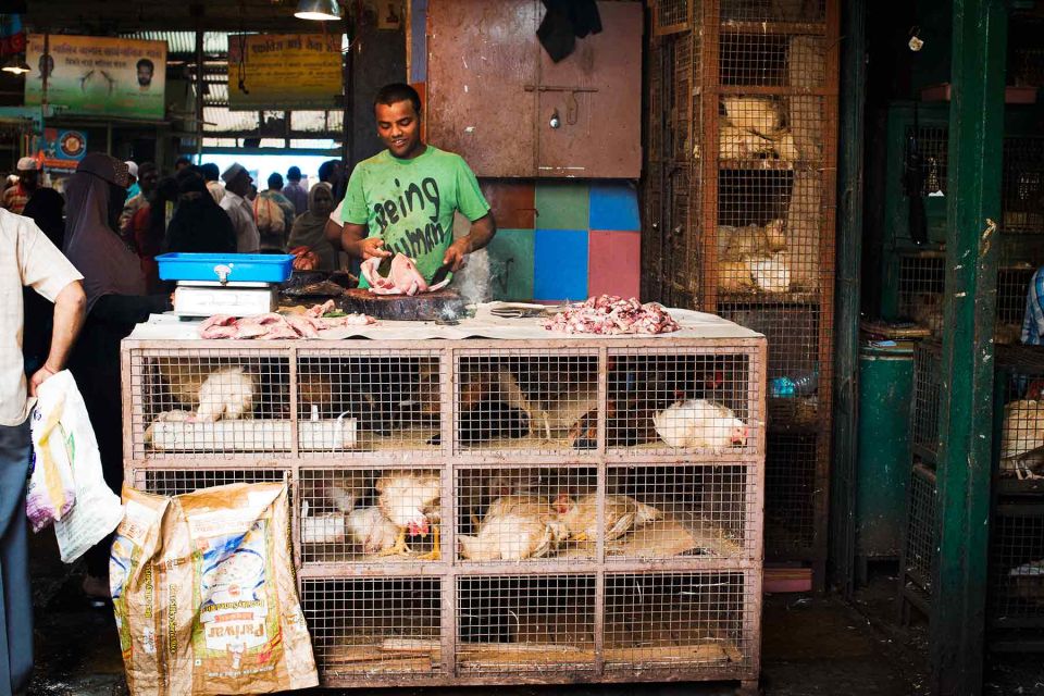 Mumbai: Local Transport & Dabbawallah Tour - Dhobi Ghat: a photo stop that shows labor in plain view