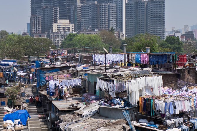 Private Dharavi Slum, Dabbawala & Dhobi Ghat tour with Transport - Should you book?
