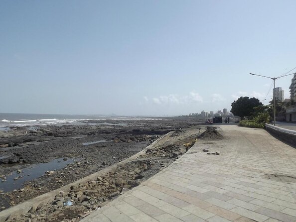 Private Elephanta Caves Tour & Mumbai City with Meal & Transport - Price and logistics: what $80 really buys you