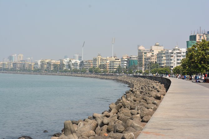 Private Mumbai Sightseeing Tour (Traveller's Choice Award Winner) - From dock life to Dhobi Ghat: watching Mumbai work