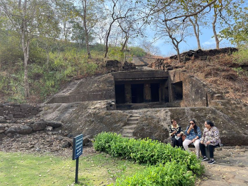 Sanjay Gandhi National Park + Kenheri Caves + Lion Safari - Key highlights worth putting on your radar