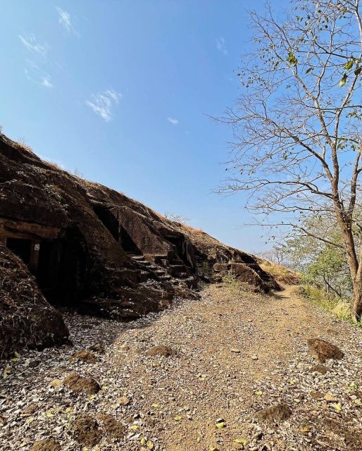 Sanjay Gandhi National Park + Kenheri Caves + Lion Safari - How the Sanjay Gandhi + Kenheri plan saves you time