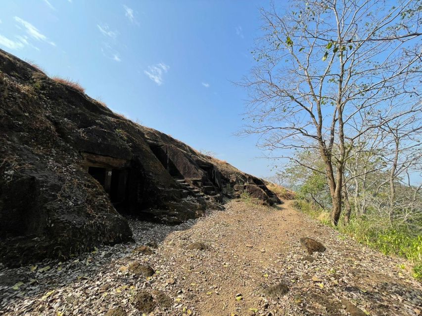 Sanjay Gandhi National Park + Kenheri Caves + Lion Safari - Who should book this tour (and who might not)