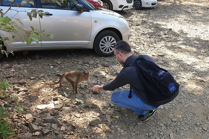 Sanjay Gandhi National Park(SGNP) + Kenheri Caves + Lion Safari + Jain Temple - Private transport + included tickets: why this itinerary feels easier than it looks