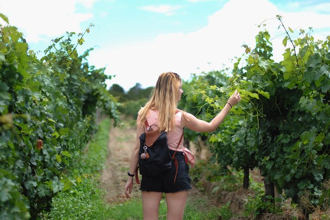 Sula Vineyards Day tour from either Mumbai OR Nashik - Key points before you go